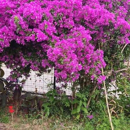 Pensjonat Garden House Kastellani Kastellanoi  Zewnętrze zdjęcie