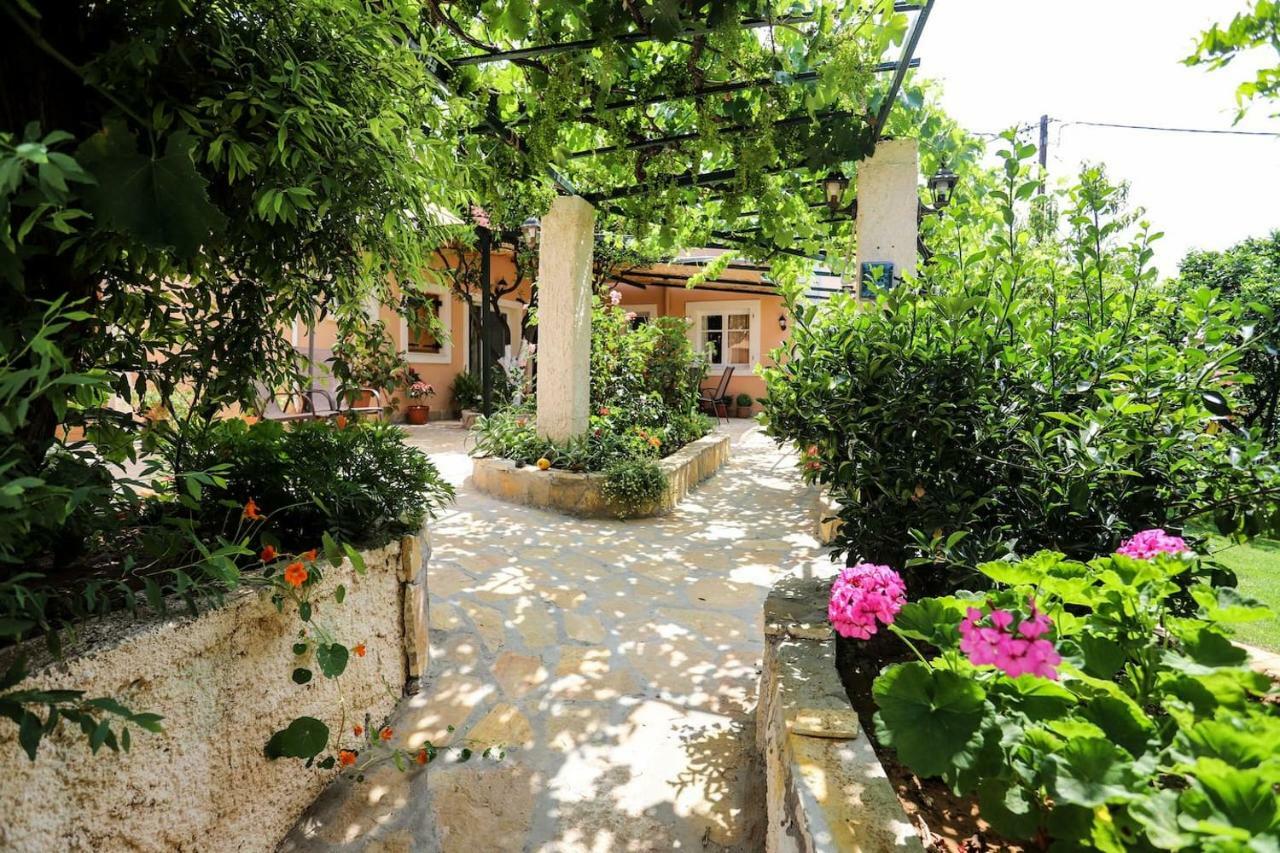 Pensjonat Garden House Kastellani Kastellanoi  Zewnętrze zdjęcie
