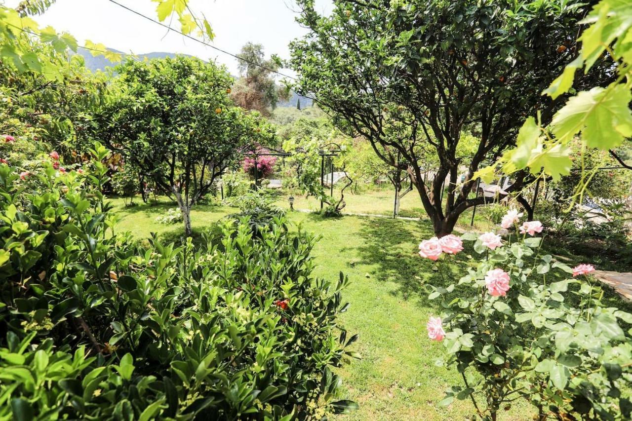 Pensjonat Garden House Kastellani Kastellanoi  Zewnętrze zdjęcie